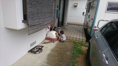 21日・トラが住みついちゃった・・・